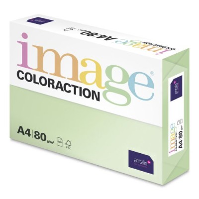 Image Coloraction Forest Pastel Green A4 80gsm Pack Of 2500 (5 Reams) Image Coloraction Forest Pastel Green A4 80gsm Pack Of 2500 (5 Reams)